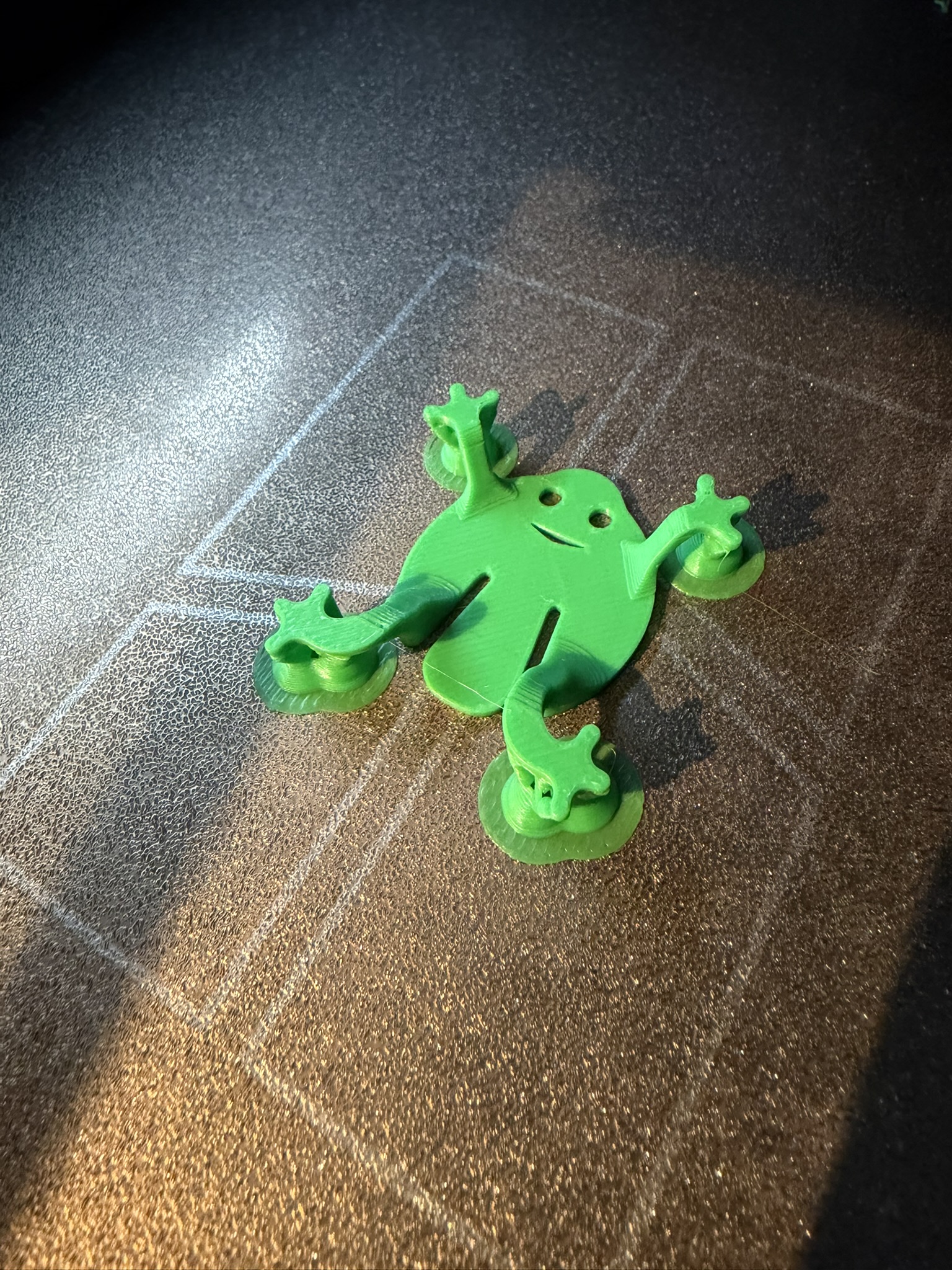 BOING! Frog – The Tiny Jumping Frog - 1