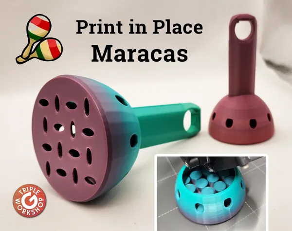 https://makerworld.bblmw.com/makerworld/model/USb17d06a6cd2f62/design/2023-10-24_00b99797aea9f.webp