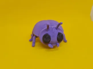 Cute Beetle 