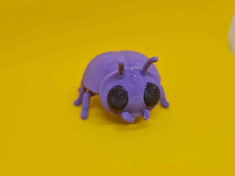 Cute Beetle 