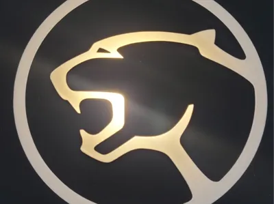 Cougar Lichtbox