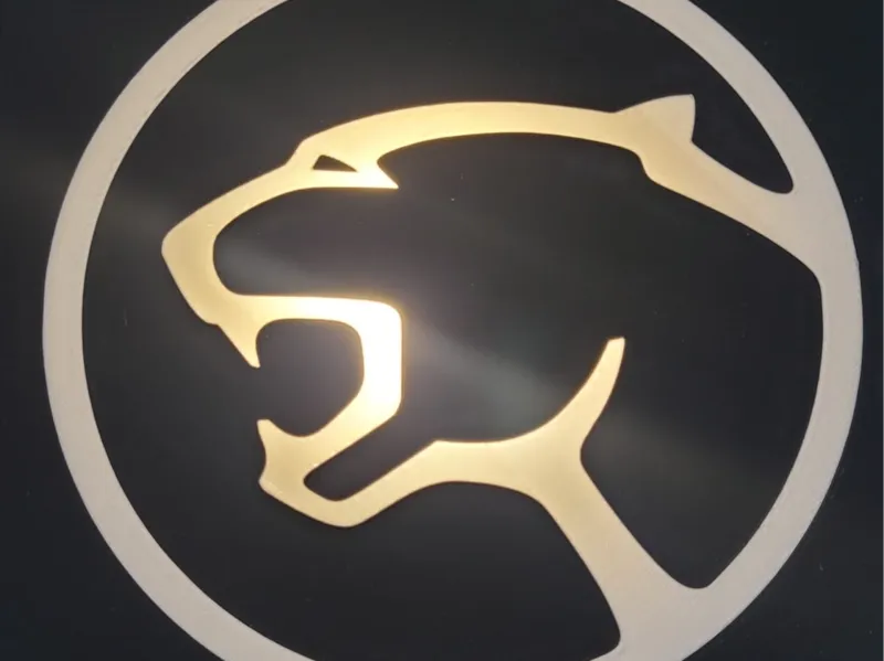 Cougar Lichtbox