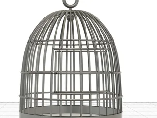 Cage à Oiseau