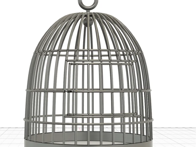 Cage à Oiseau
