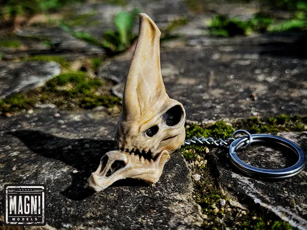 https://makerworld.bblmw.com/makerworld/model/USb18cdd3d88e27a/design/2025-09-14_e9c0c43a025008.jpg