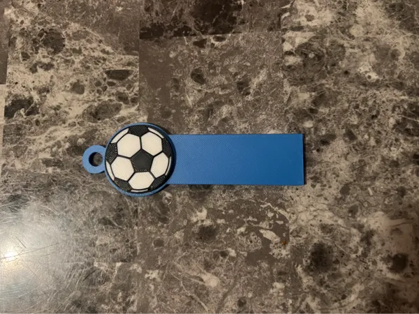 https://makerworld.bblmw.com/makerworld/model/USb18ff8283828b3/design/2025-01-30_9a74c6fc2baae.jpg