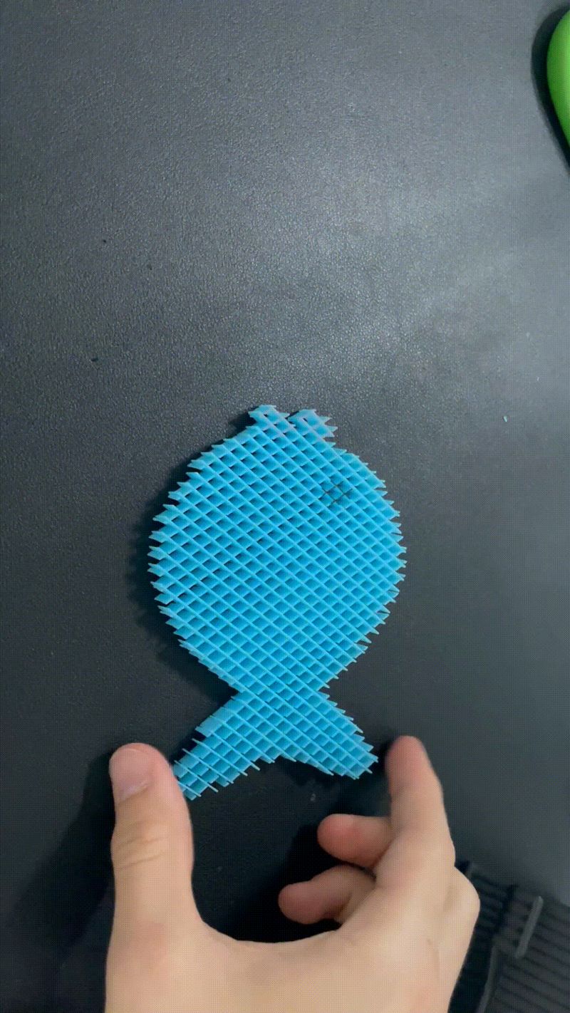 Fidget Fischi