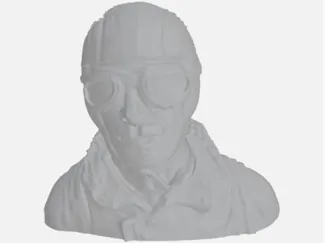 RC plane pilot WW1 shoulders and above
