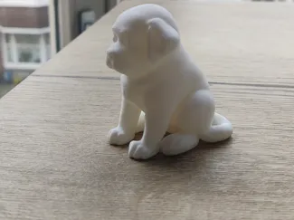 a fat puppy