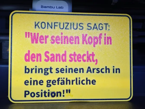 https://makerworld.bblmw.com/makerworld/model/USb198a508e58800/design/2025-07-08_ca7337317a6b8.jpg