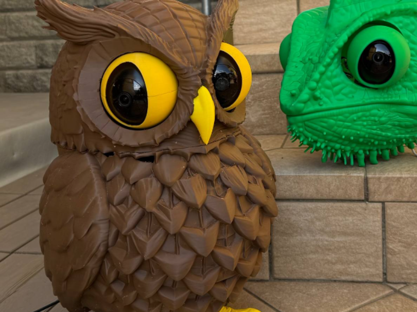 Owl Surveillance Camera - 1