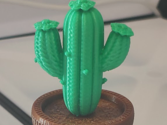 Saguaro Cactus in Woven Pot