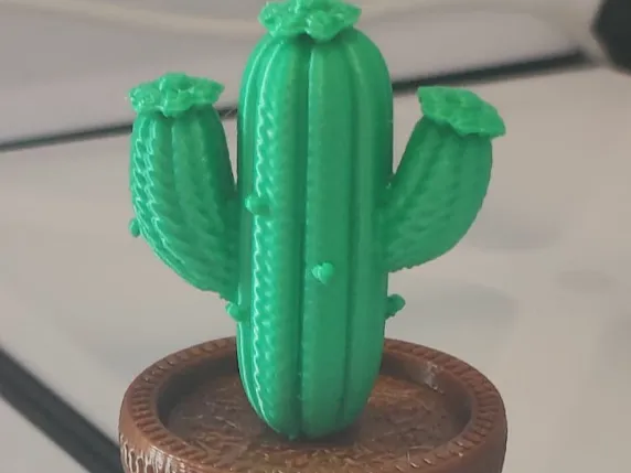 Saguaro Cactus in Woven Pot