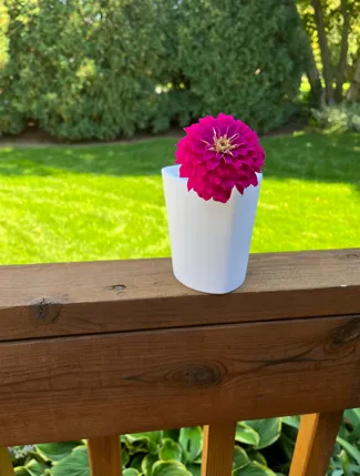 Small Vase