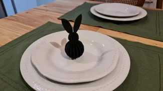 Bunny