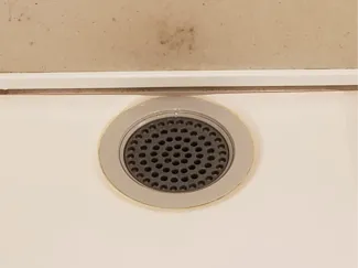 hair sieve shower drain 75mm