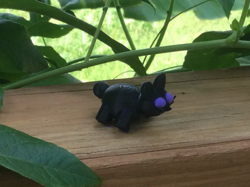 Cute little bunny