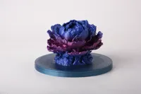 0.16mm layer, 3 walls, 20% infill