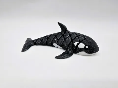 Flexi Orca Whale view 2