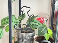 Tuteur pour plante — silhouette de chien — photo 1