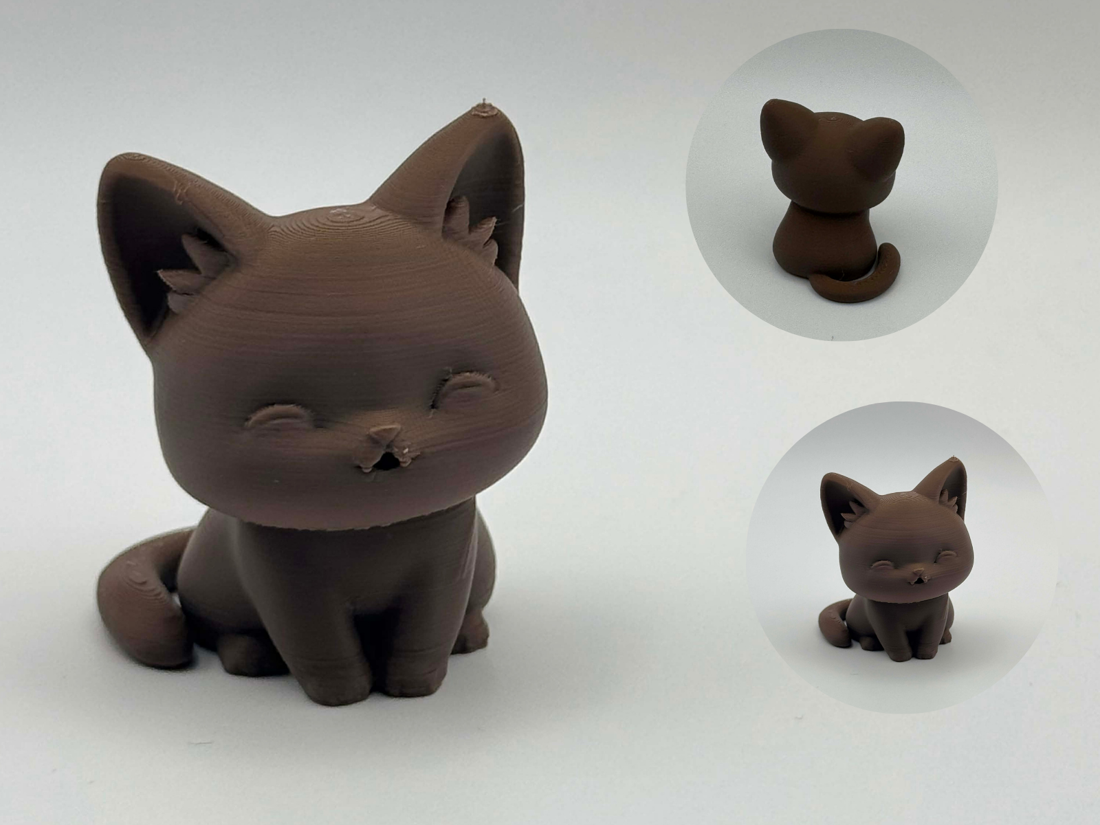 The Cutest Cat – Adorable Happy Kitty