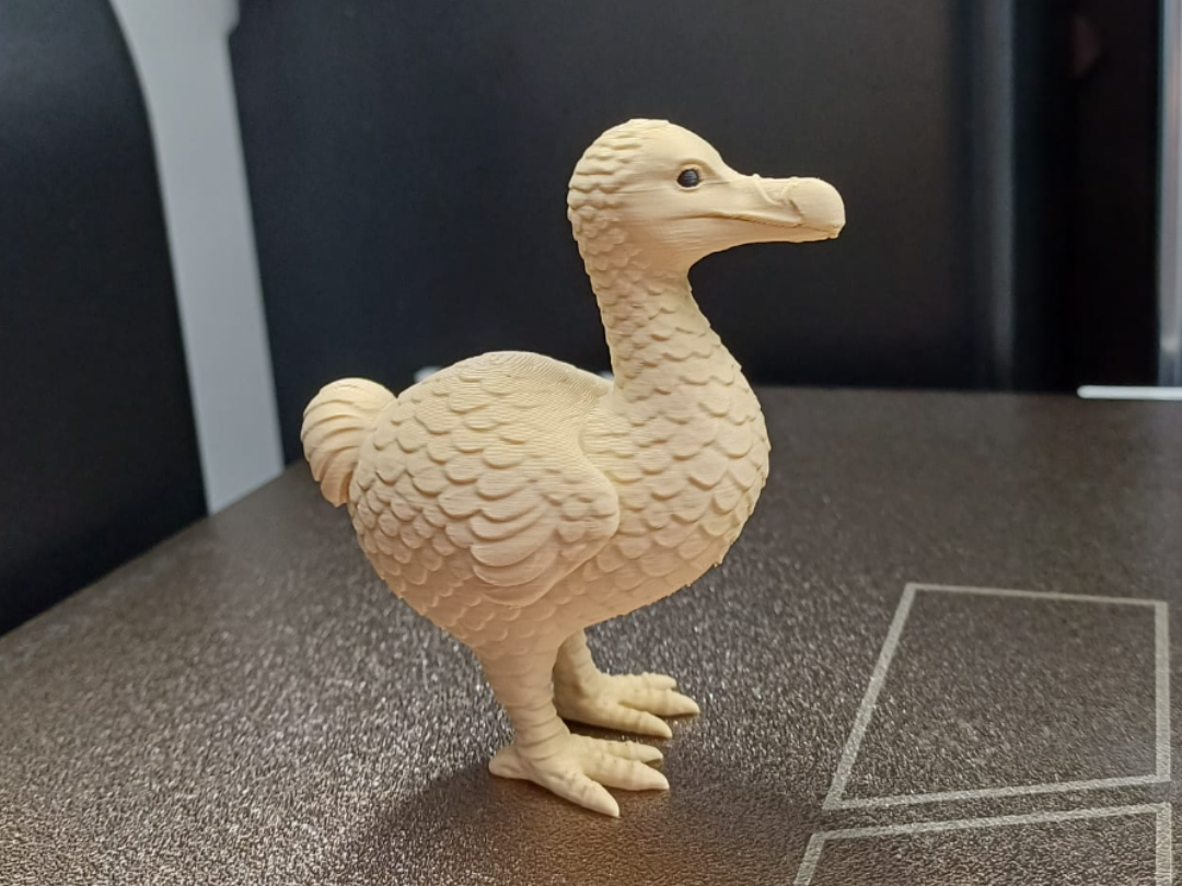 Chonky Dodo