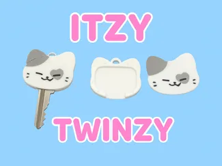 TWINZY鑰匙套