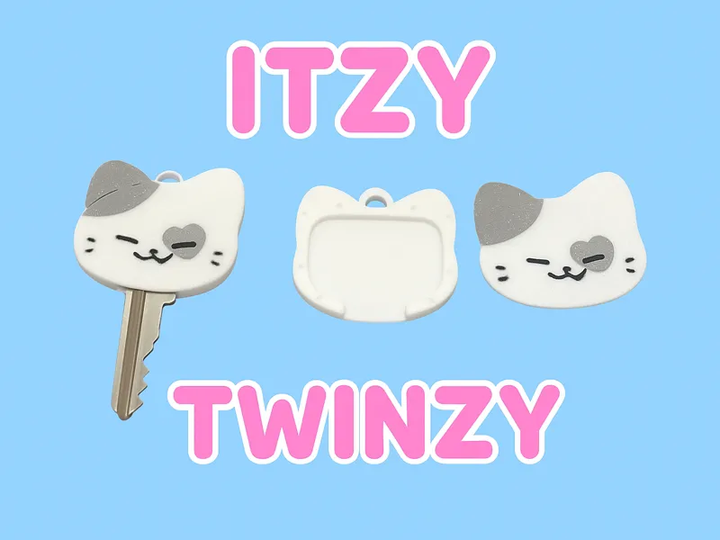TWINZY鑰匙套