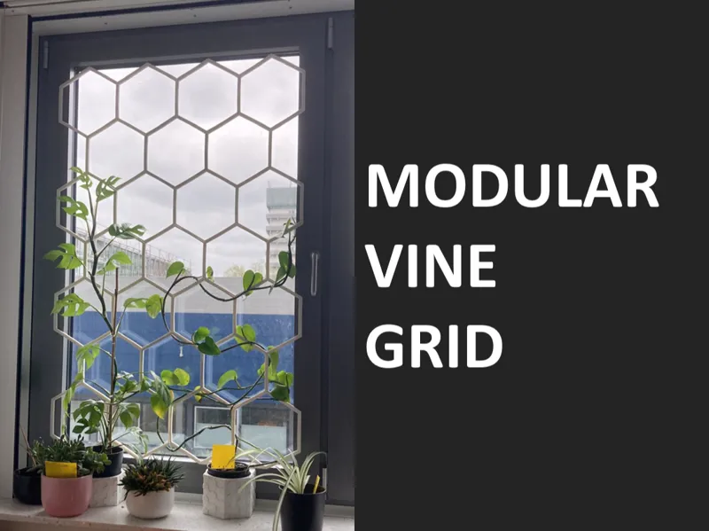 Modular Hexagon Creeping Vine Trellis Grid 