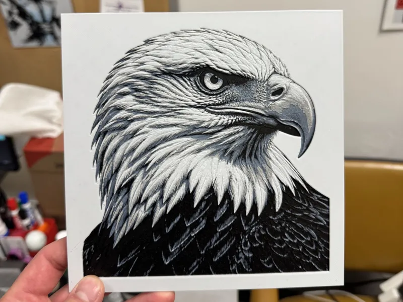 Bald Eagle Hueforge
