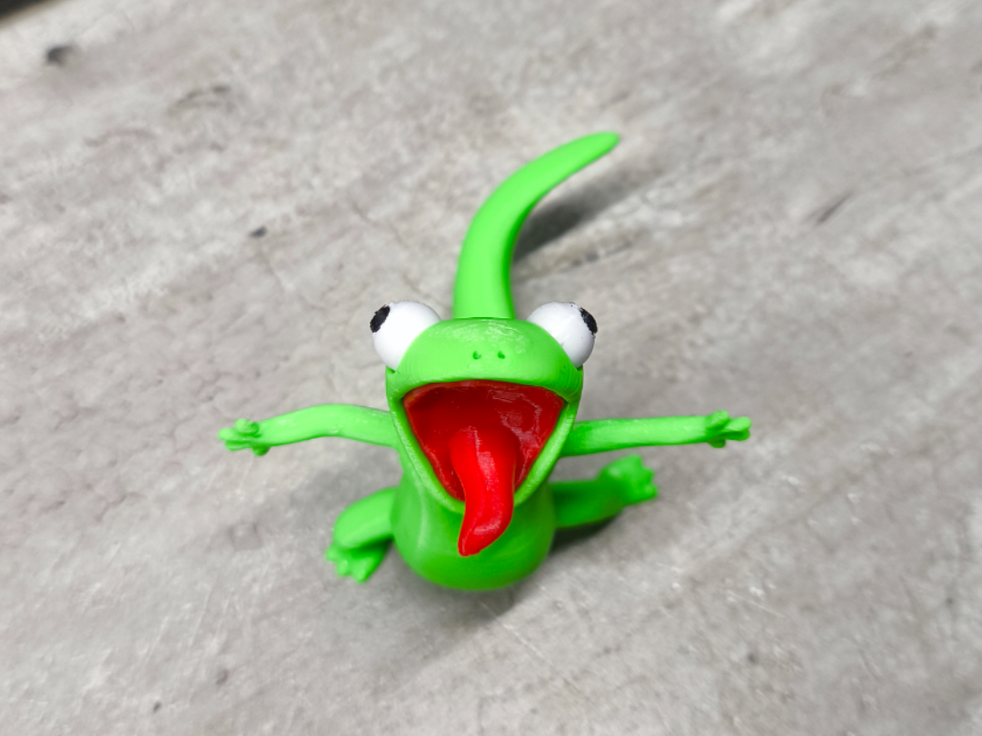 Tom Lizard