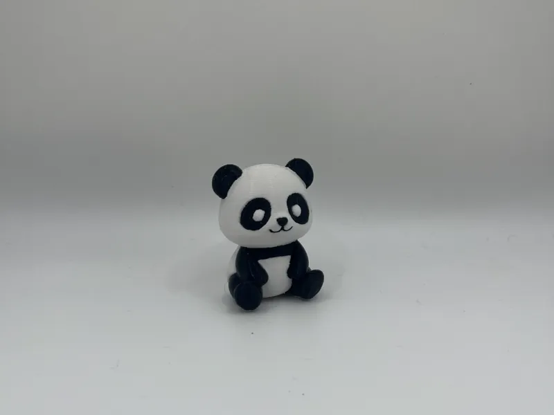 Cute baby panda