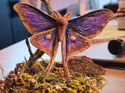 Luna Moth