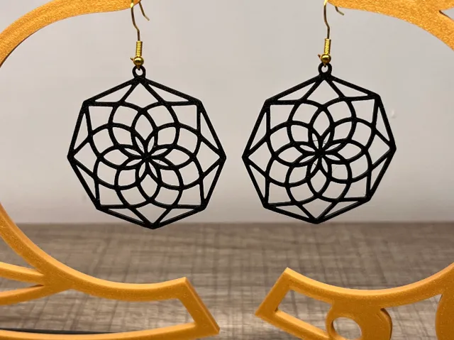 Earrings Art #06