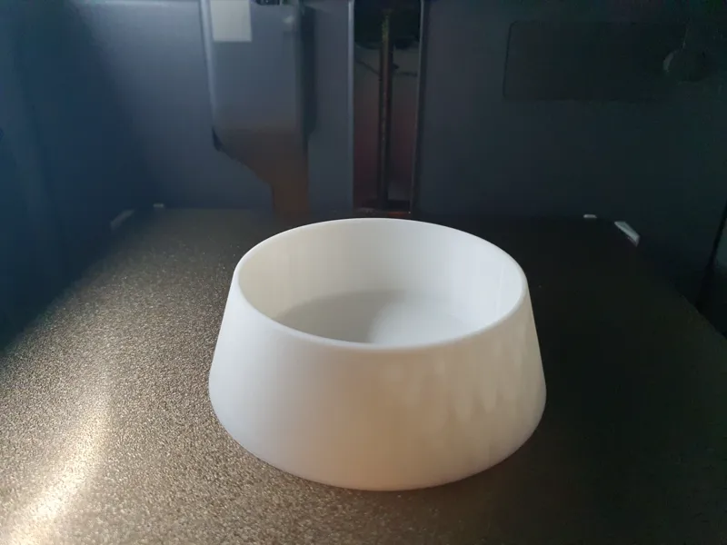 Little cat bowl