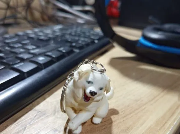 PERRITO FELIZ WHATSSAP