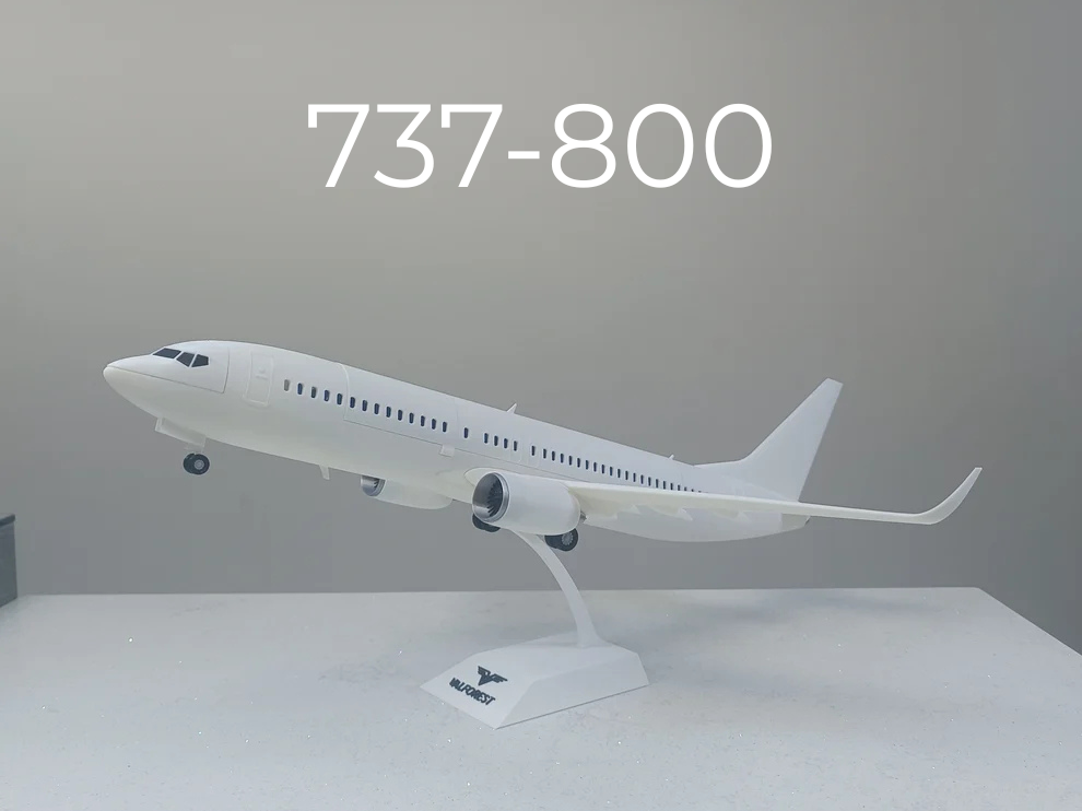 1/80 scale model 737-800 - 1
