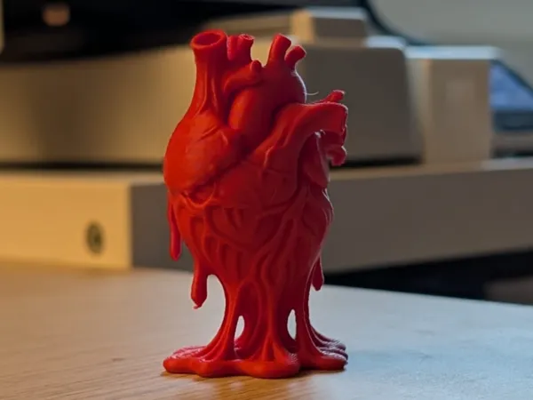 https://makerworld.bblmw.com/makerworld/model/USb1c223a3d2e2be/design/2025-06-14_76e86a058b2418.jpg