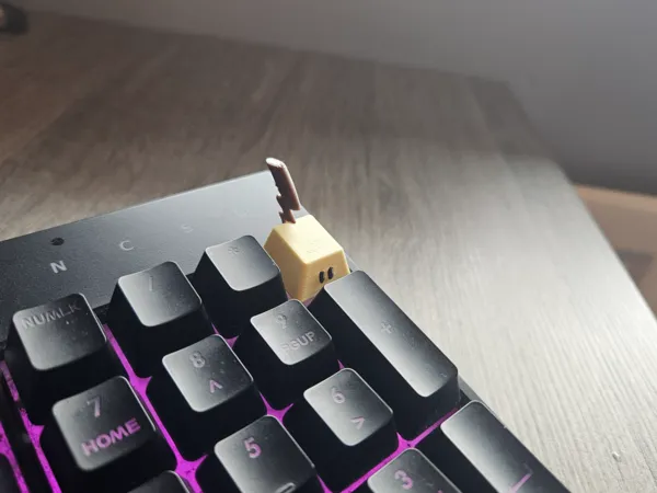 https://makerworld.bblmw.com/makerworld/model/USb1c78a03a3be3a/design/2025-10-03_03d12470854048.jpg