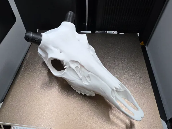 https://makerworld.bblmw.com/makerworld/model/USb1c8b45aeeb774/design/2025-11-01_80ba21b15a1ae.jpg