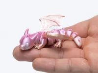 SingleColor Print Profile - dragon