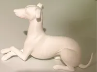 Whippet allongé aux pattes croisées — photo 2