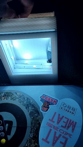 Interchangeable Polaroid style lithopane light box