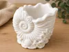 Nautilus Shell Planter