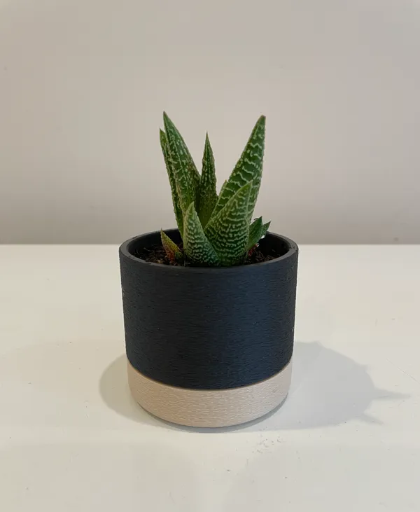 https://makerworld.bblmw.com/makerworld/model/USb1de510686d0b8/design/2024-06-10_f06df3d03ee7.jpeg