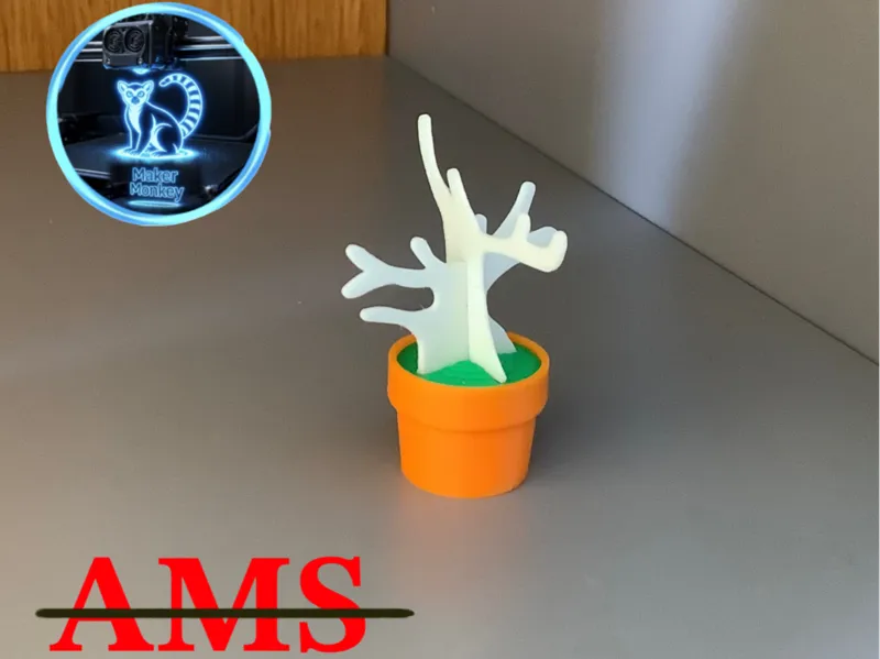 Mini Bonsai