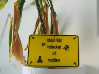 Ich bin nicht Vertrocknet ( Schild)