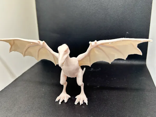 https://makerworld.bblmw.com/makerworld/model/USb1e73d8d60c19d/design/2025-01-02_2d2271306e1f7.jpeg