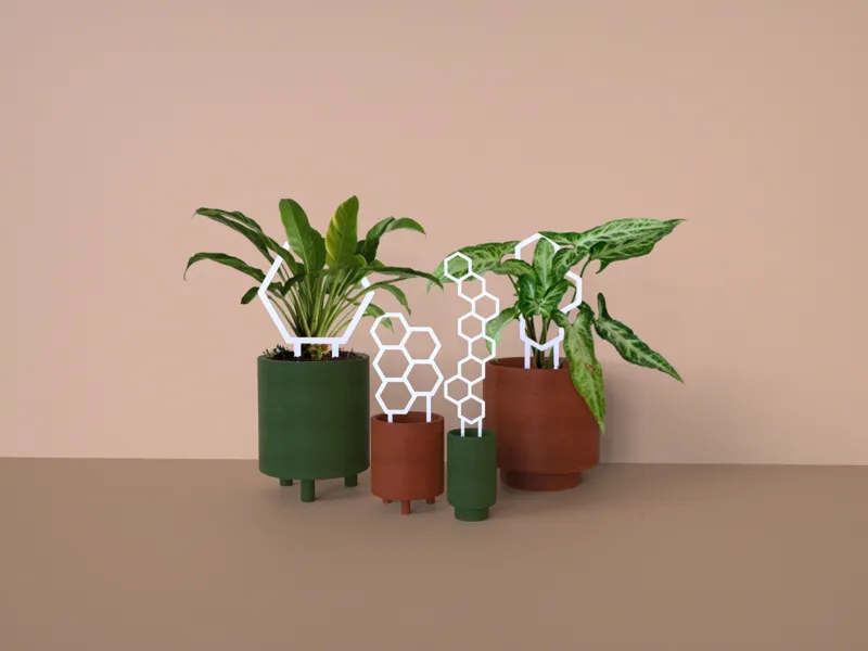 HexaGrow Modern Plant Climbers