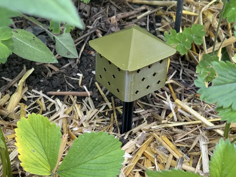 Aroma house for the garden (to repel slugs)